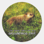 Live every day like it's Groundhog Day! Classic Round Sticker