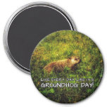 Live every day like it's Groundhog Day! magnet