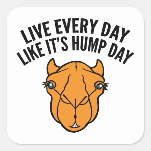 Live Every Day Like Its Hump Day Square Sticker
