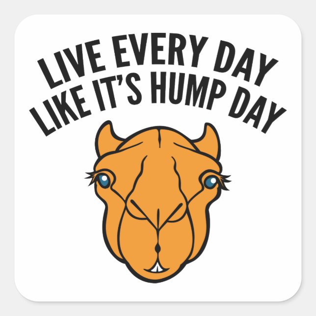 Live Every Day Like It's Hump Day Square Sticker (Front)