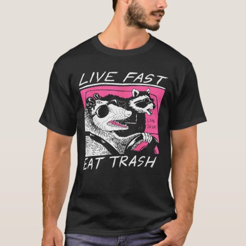 Live Fast Eat Trash And Get Hit By A Car _ Sunset T_Shirt