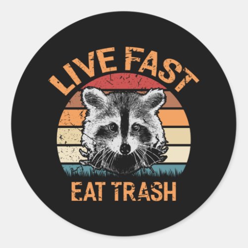 Live Fast Eat Trash Retro Raccoon Vintage Funny Classic Round Sticker