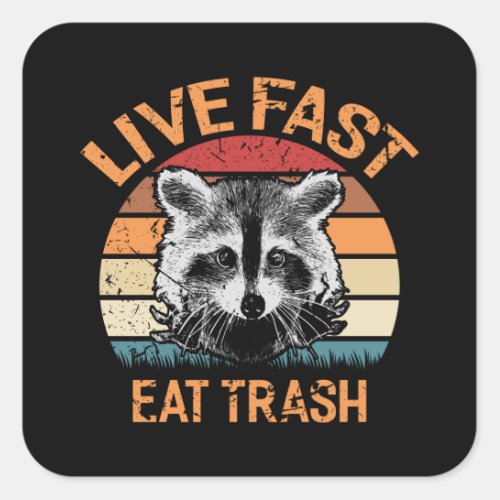 Live Fast Eat Trash Retro Raccoon Vintage Funny Square Sticker