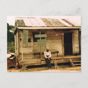 Live Fish For Sale Postcard