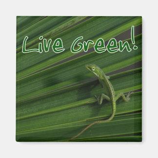 Live Green Lizard Magnet