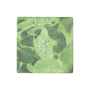 Live In Clover Stone Magnet