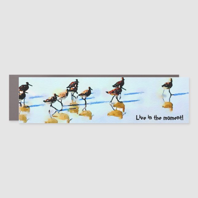 Live in the Moment~Sandpipers Hilton Head Beach Car Magnet (Front)