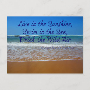 Live in the Sunshine, Swim and Drink Postcard