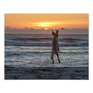 "Live Large" Beach Sunset Photo Print (14" x 11")