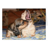 Live, Laugh, Love (Front Horizontal)