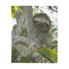 Live Life Like a Sloth