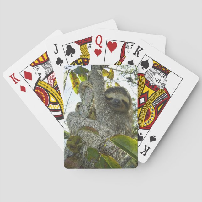 Live Life Like a Sloth Poker Cards (Back)