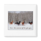 Live Life.....Like someone left the gate open!