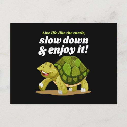 Live Life Like The Turtle Turtles Postcard