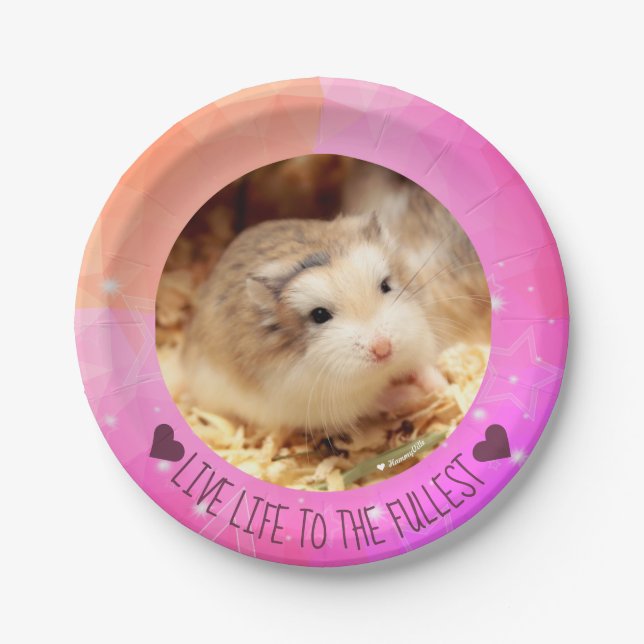 Live Life to the Fullest - Hammyville Hamsters Paper Plates (Front)