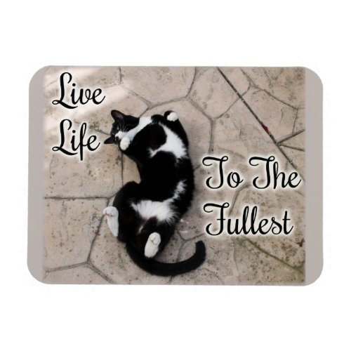 Live Life to the Fullest Motivational Cat Art Magnet