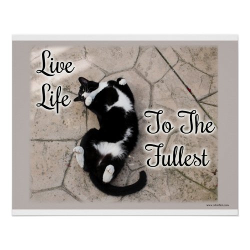 Live Life to the Fullest Poster