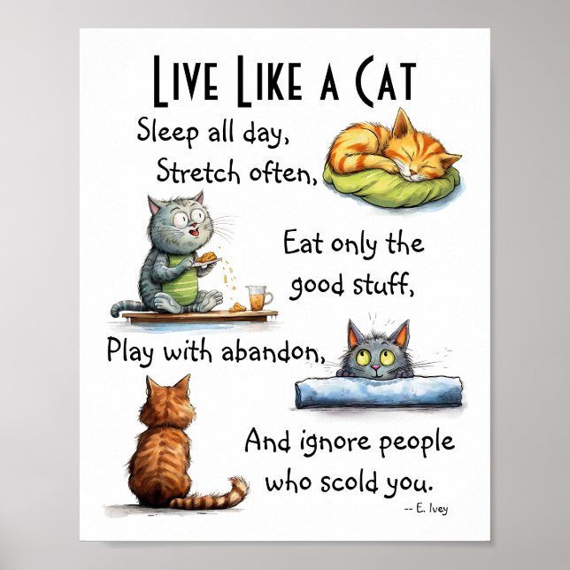 Live Like a Cat Humorous Cartoon Wall Art  (Front)