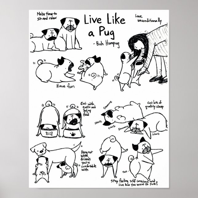 Live Like A Pug! Poster (Front)