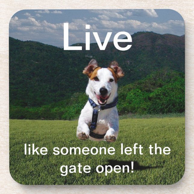 "Live Like Someone Left the Gate Open" Coaster (Front)