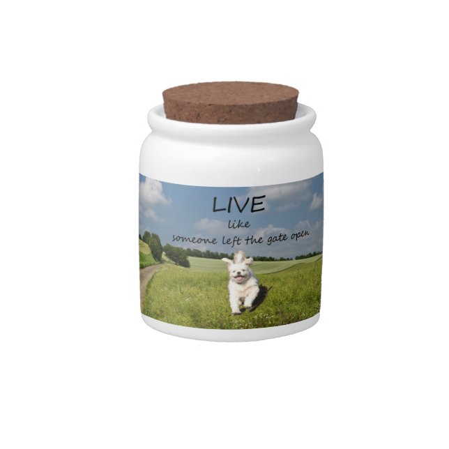 Live Like Someone Left the Gate Open Cookie Jar (Front)