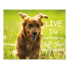 "Live Like Someone Left the Gate Open" Dachshund Poster