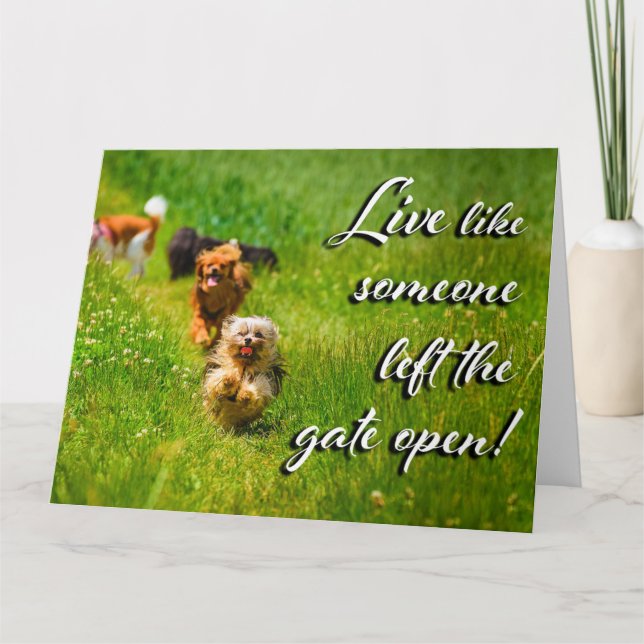 Live Like Someone Left the Gate Open!  Letterpress Thank You Card (Front)