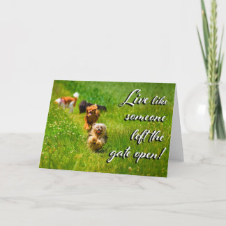 Live Like Someone Left the Gate Open! Letterpress Thank You Card