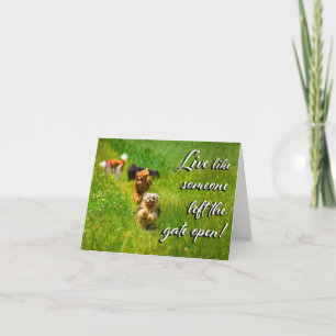 Live Like Someone Left the Gate Open! Letterpress Thank You Card