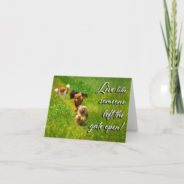 Live Like Someone Left the Gate Open! Letterpress Thank You Card (Front)