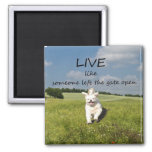 &quot;live Like Someone Left The Gate Open&quot; Magnet at Zazzle