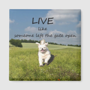 Live Like Someone Left the Gate Open, Cow Funny Wine Glass Farmhouse Best  Friend Gift for Women