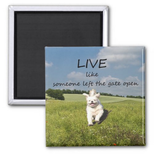 Live Like Someone Left the Gate Open Magnet