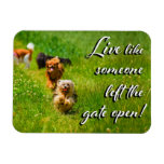 Live Like Someone Left the Gate Open!  Magnet