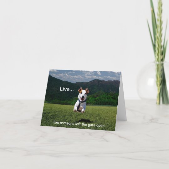 Live Like Someone Left The Gate Open Note Cards