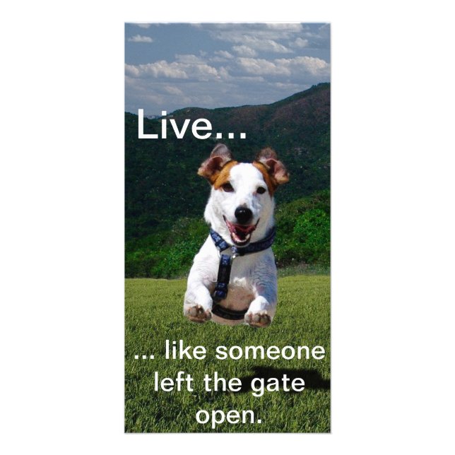 "Live Like Someone Left the Gate Open" Photo Card (Front)
