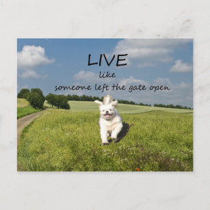 59+ Live Life Left Gate Open Gifts on Zazzle
