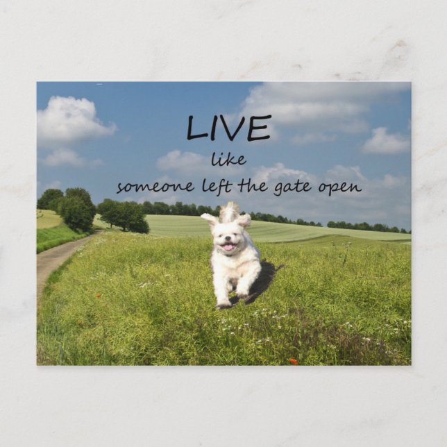"Live Like Someone Left the Gate Open" Postcard (Front)