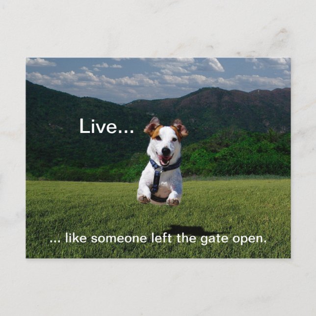 "Live Like Someone Left the Gate Open" Postcard (Front)