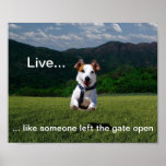 "Live Like Someone Left the Gate Open" Poster