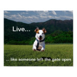 "Live Like Someone Left the Gate Open" Poster "Live Like Someone Left the Gate Open" Poster