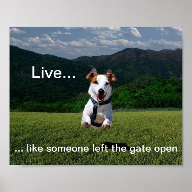 "Live Like Someone Left the Gate Open" Poster (Front)