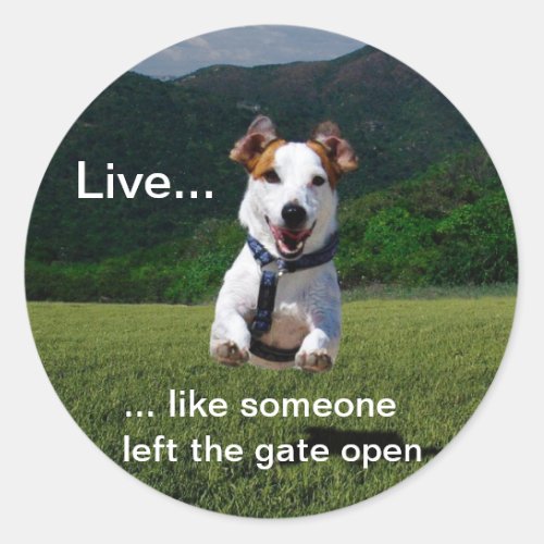 Live Like Someone Left the Gate Open Round Sticker