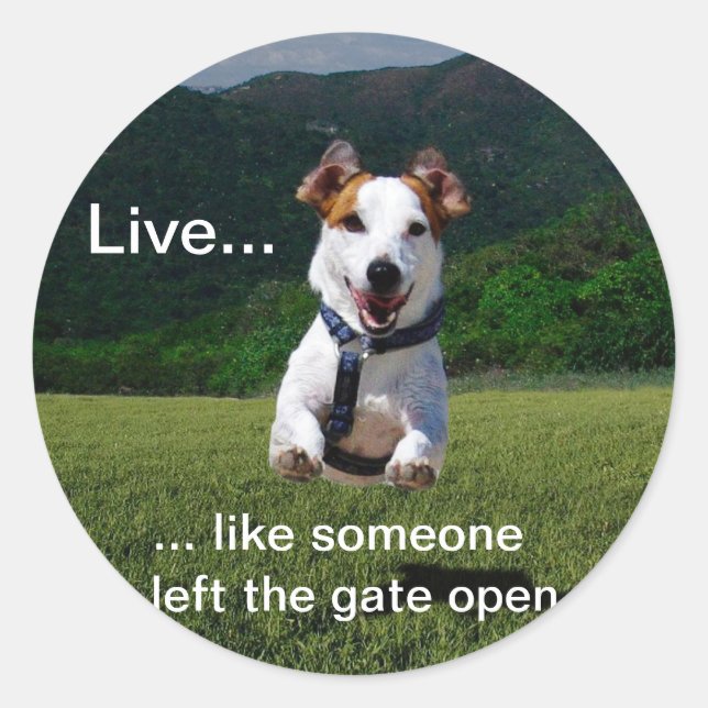 Live Like Someone Left the Gate Open Round Sticker (Front)
