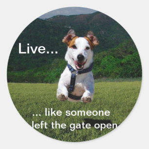 Live Like Someone Left the Gate Open Round Sticker