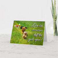 Live Like Someone Left the Gate Open!