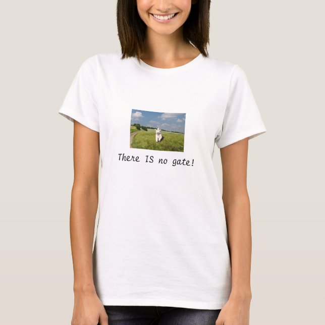 "Live Like..." T-Shirt- Buddhist (Matrix) Version! T-Shirt (Front)