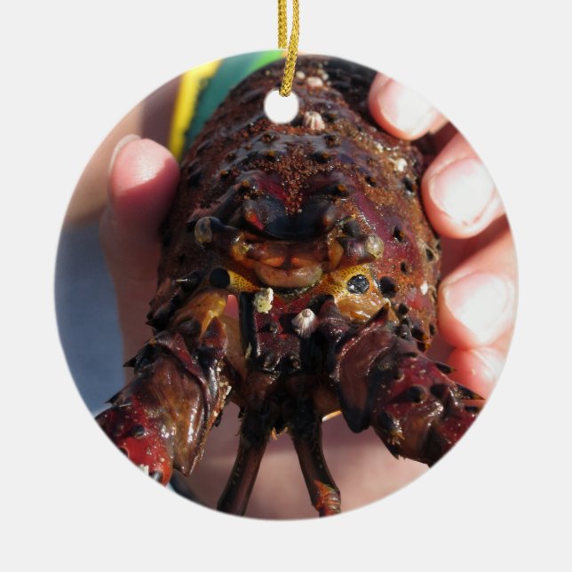 Live Lobster Ceramic Ornament (Front)