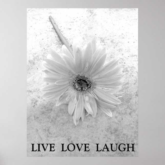 Live Love Laugh Black and White Gerber Daisy Poster (Front)