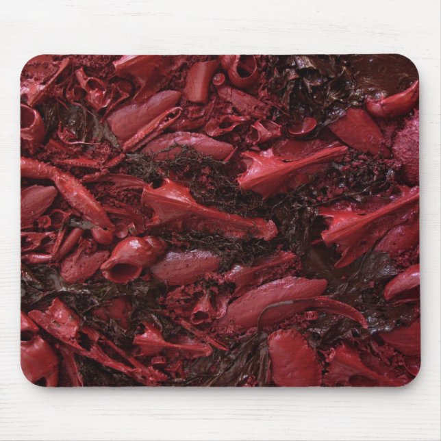 Live! Mouse Pad (Front)